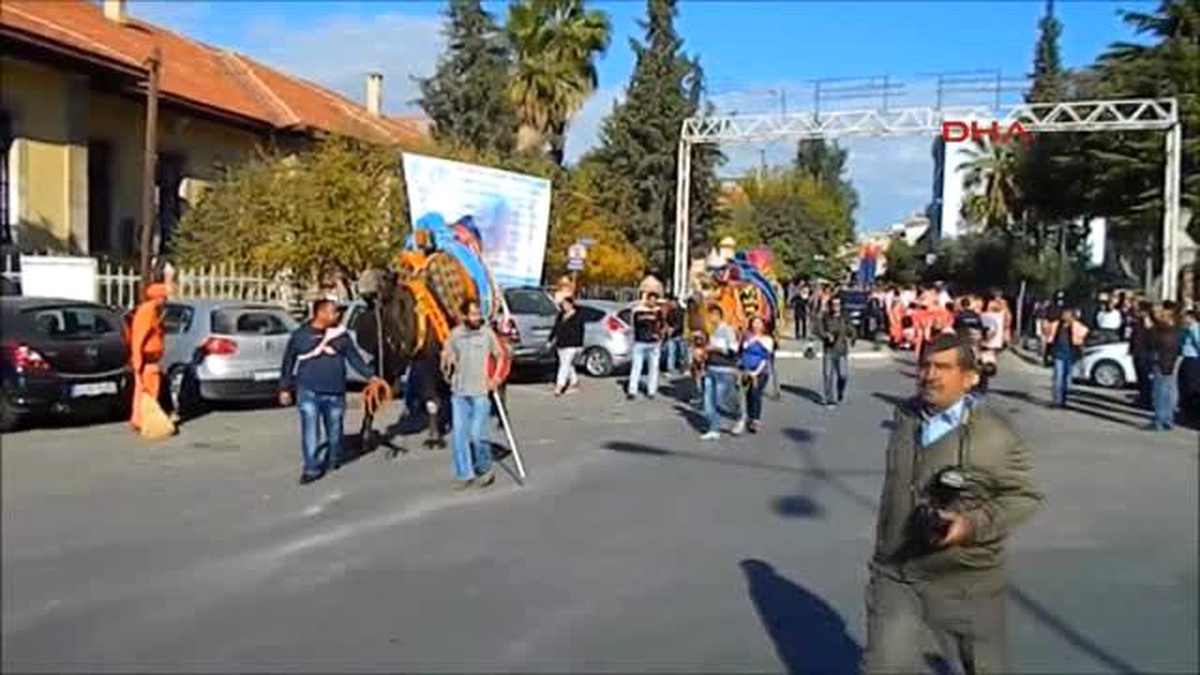 Milas\'ta İkinci Zeytin Hasadı Şenliği Kortej Yürüyüşle Başladı