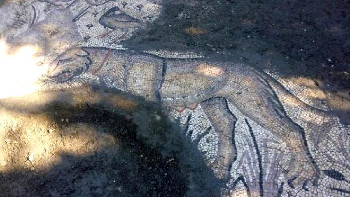 Portakal Bahçesinde Roma Dönemi Kilise Bulundu