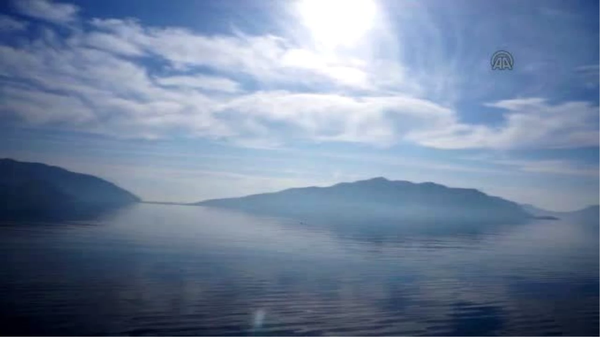 Poseidon Çayırlarının Yüzde 40'ı Yok Oldu