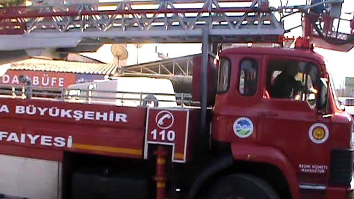 Sakarya Çınar Ağacı Dallarında Sıkışan Kargayı İtfaiye Kurtardı