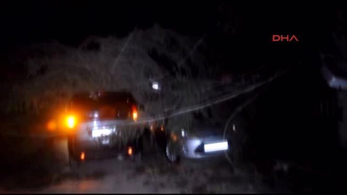 Sakarya - Lodosta Devrilen Ağaç 3 Araca Hasar Verdi