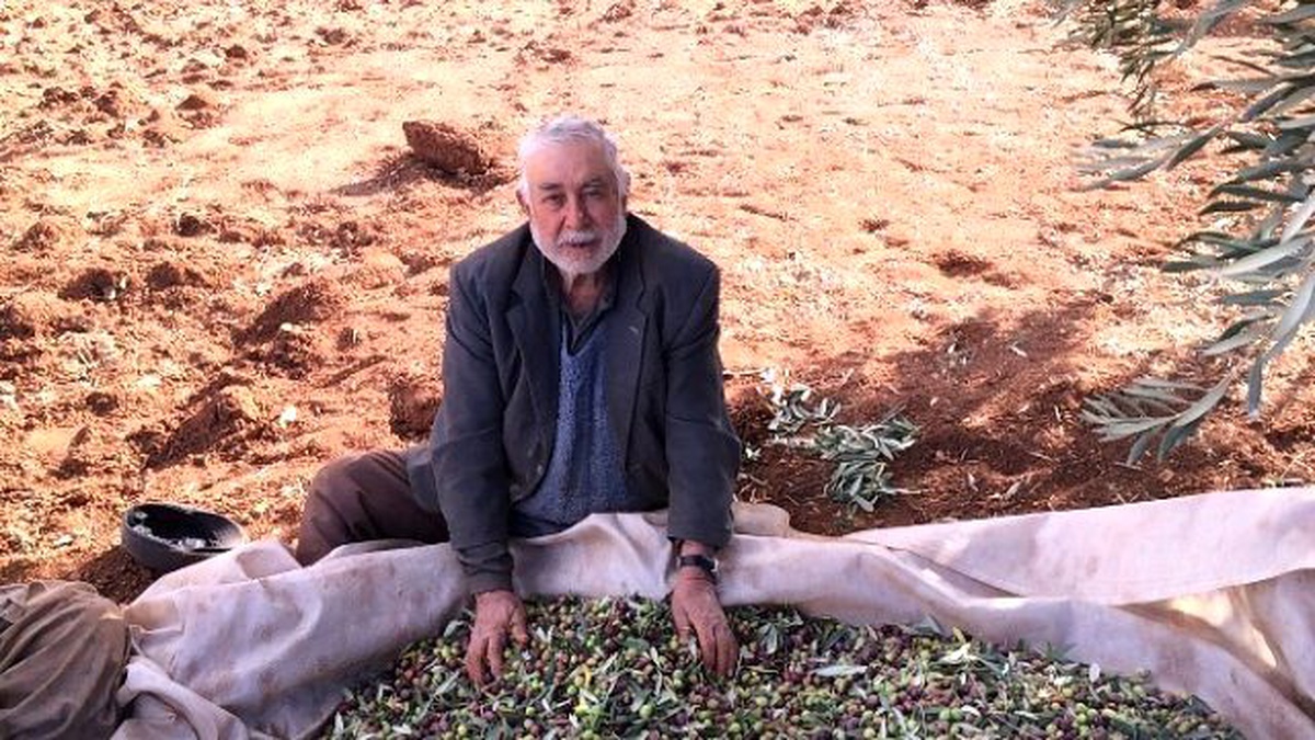 Tariş, Dizyemlik Yağa 18 TL Fiyat Açıklaması Üreticileri Memnun Etti