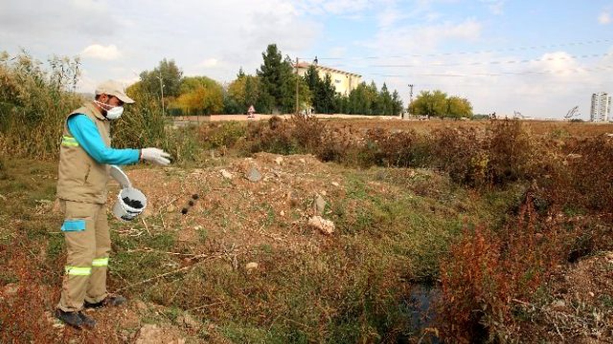Haliliye\'de Larva Mücadelesi Kırsal Mahallelerde de Devam Ediyor