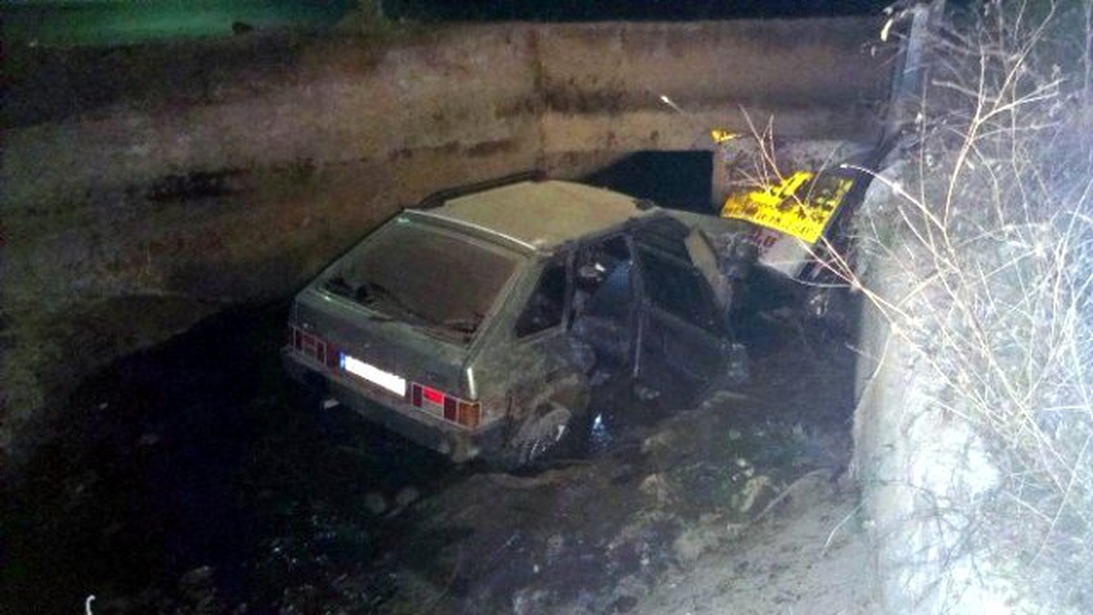 Köpeğe Çarpan Otomobil Sulama Kanalına Düştü: 4 Yaralı