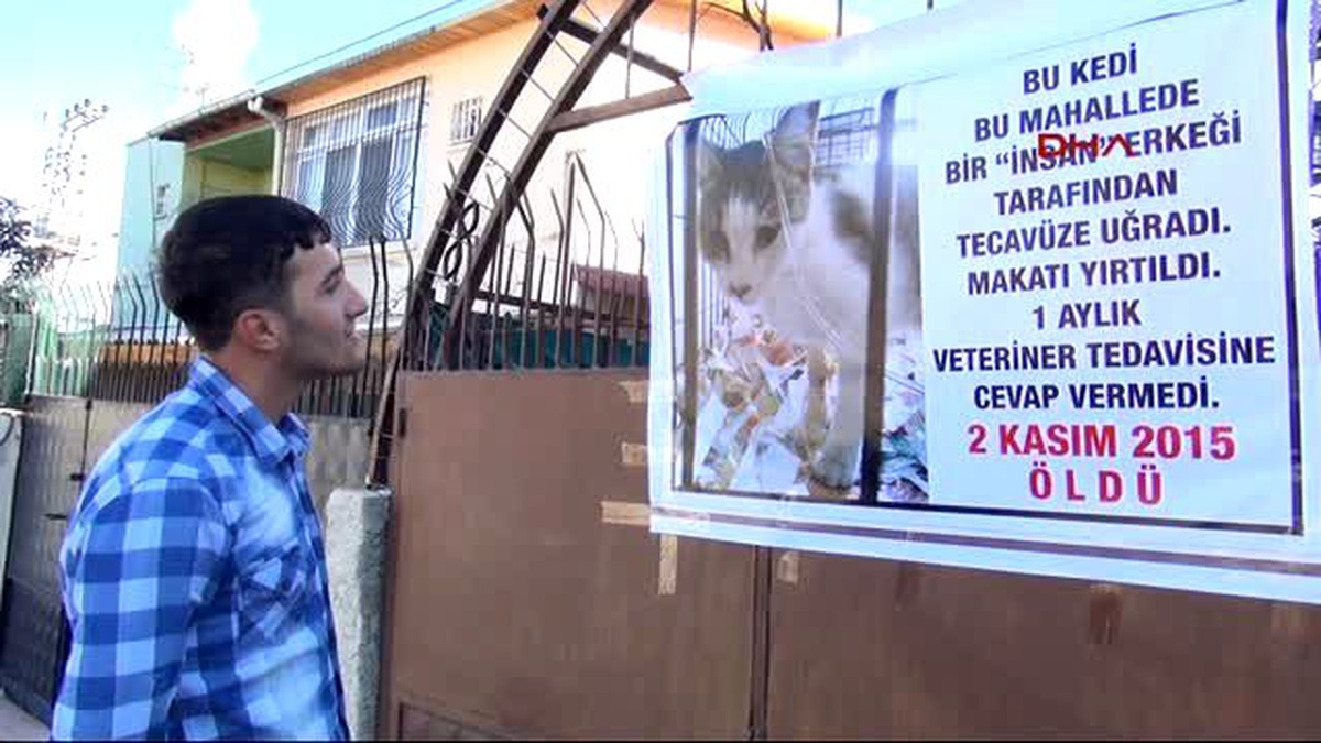 Mersin - Kedisinin \'Tecavüz\' Sonucu Telef Olmasını Afişle Protesto Etti