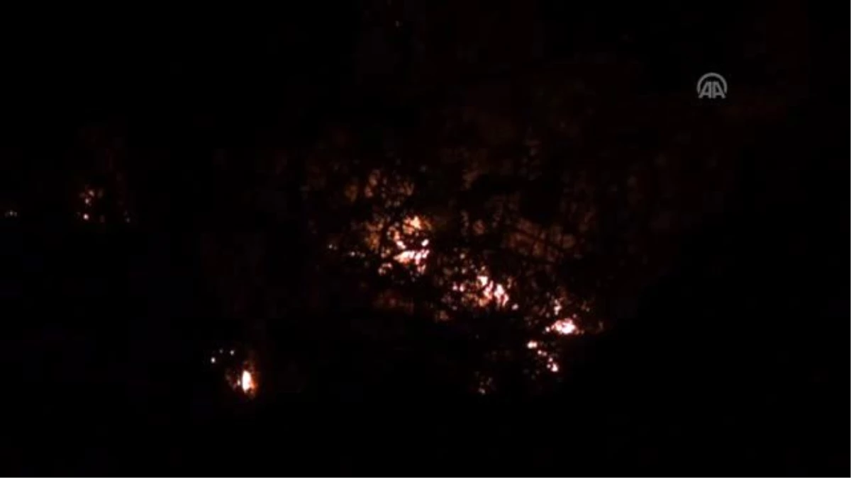 Zonguldak\'ta Çıkan Orman Yangını Söndürüldü