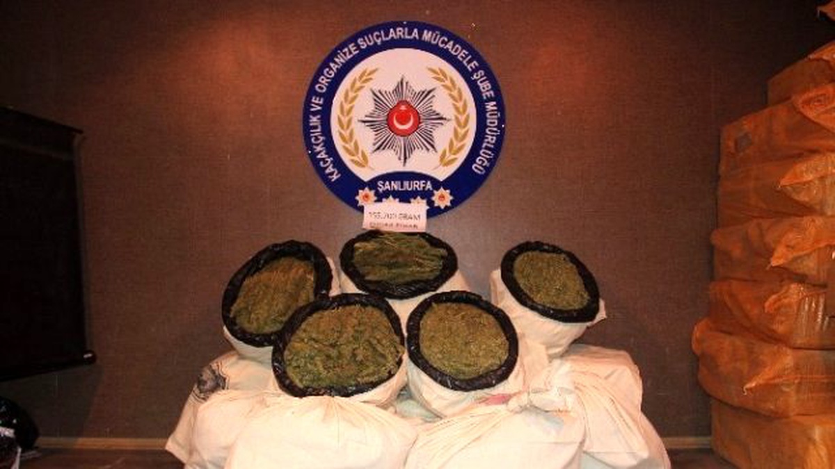 Şanlıurfa\'da 156 Kilo Esrar Ele Geçirildi