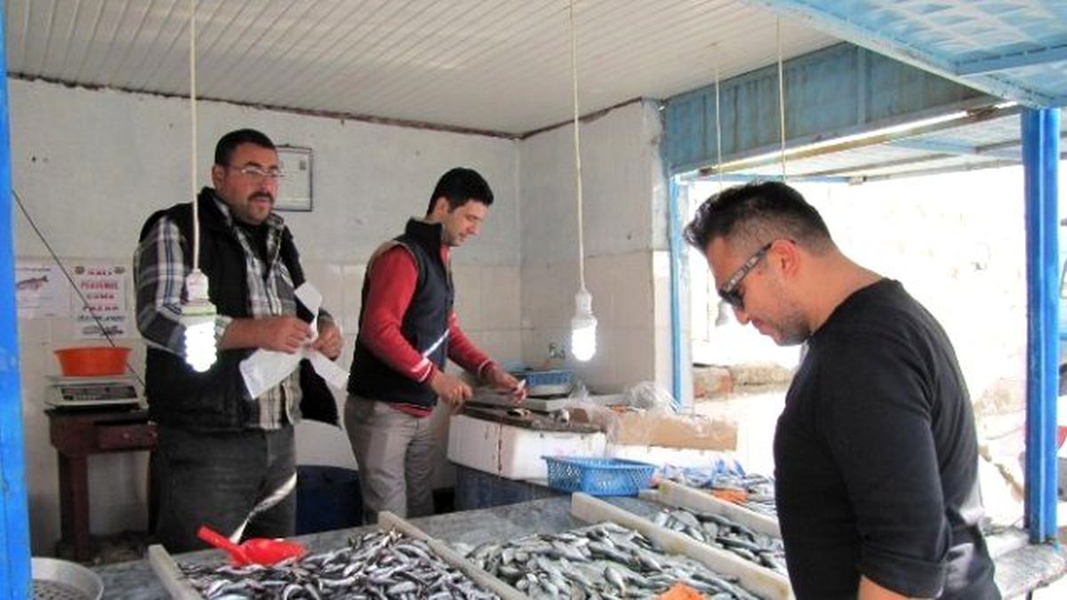 Balık Fiyatlar Düştü