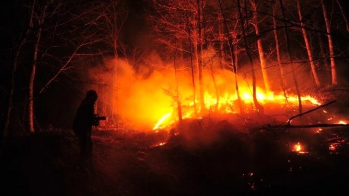 Bursa\'da Orman Yangını Lodos Etkisiyle Kontrol Altına Alınamıyor