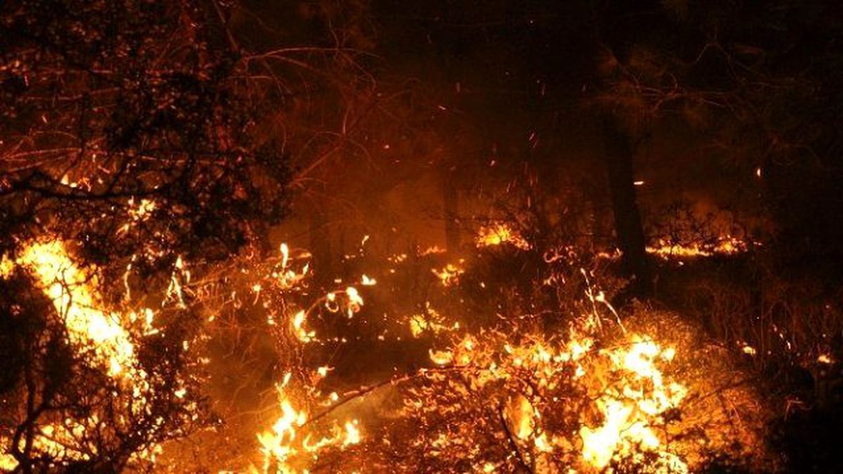 Kastamonu\'da 250 Hektar Ormanlık Alan Yandı