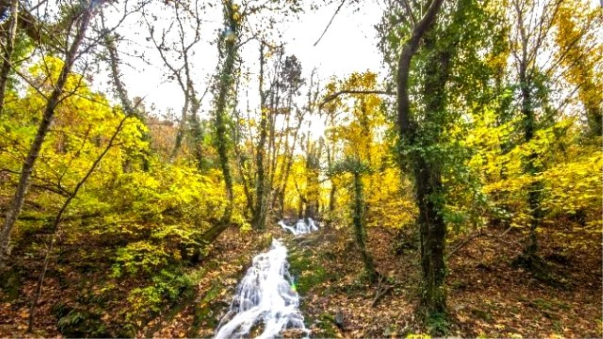 Kazdağları Sonbaharda Bir Başka Güzel