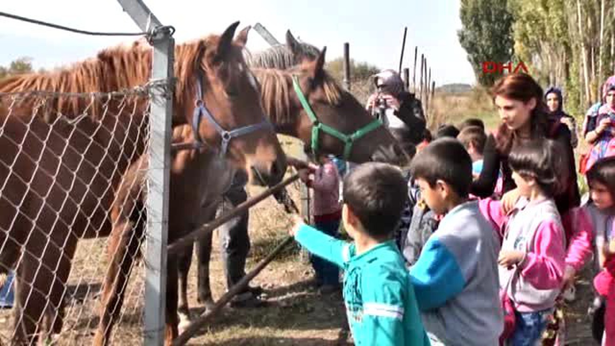 Muş Anasınıfı Öğrencileri At Çiftliğini Gezdi
