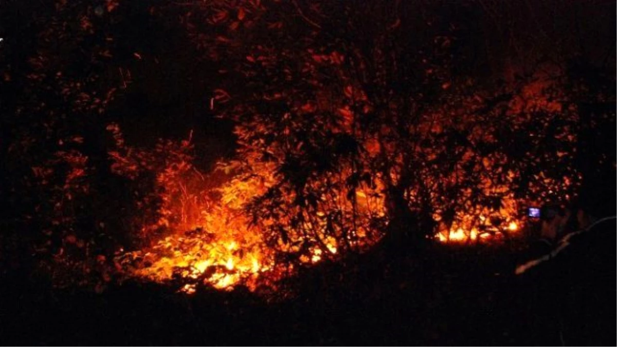 Rize\'de Orman Yangını