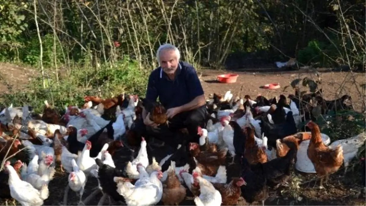 Vali Olamadı Çiftçi Oldu