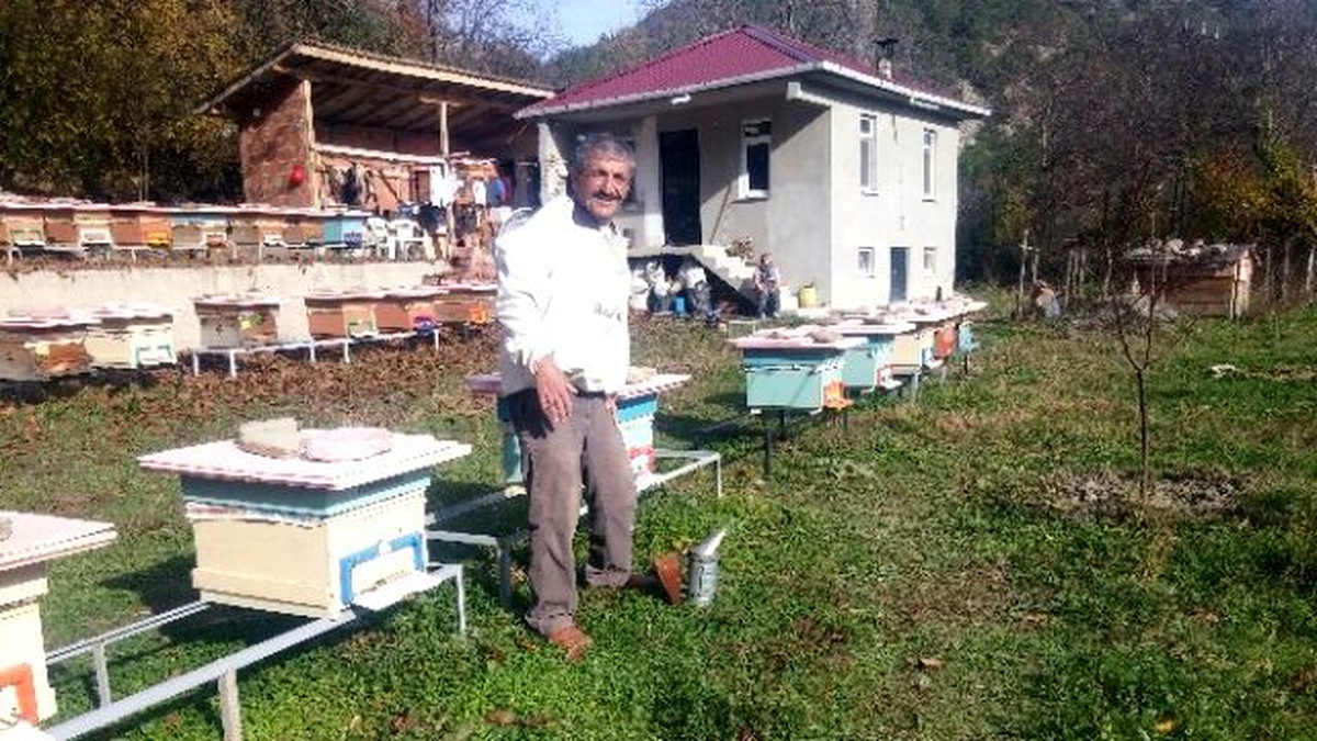 Kastamonu\'da 27 Yıllık Öğretmenliğin Ardından Arıcılığa Başladı