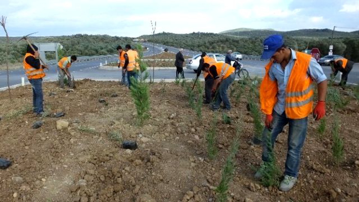 Çanakkale İzmir Karayolu Yeşillendiriliyor
