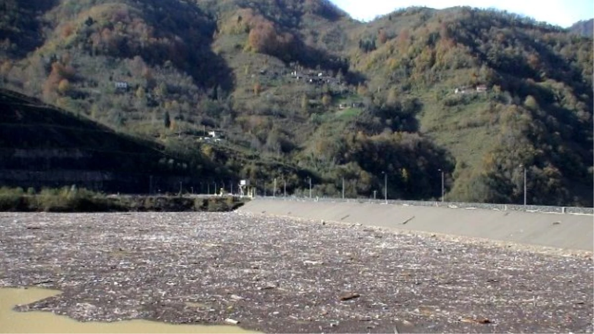 Sel Suları ile Gelen Kirlilik Muratlı Barajı\'nı Çöplüğe Döndürdü
