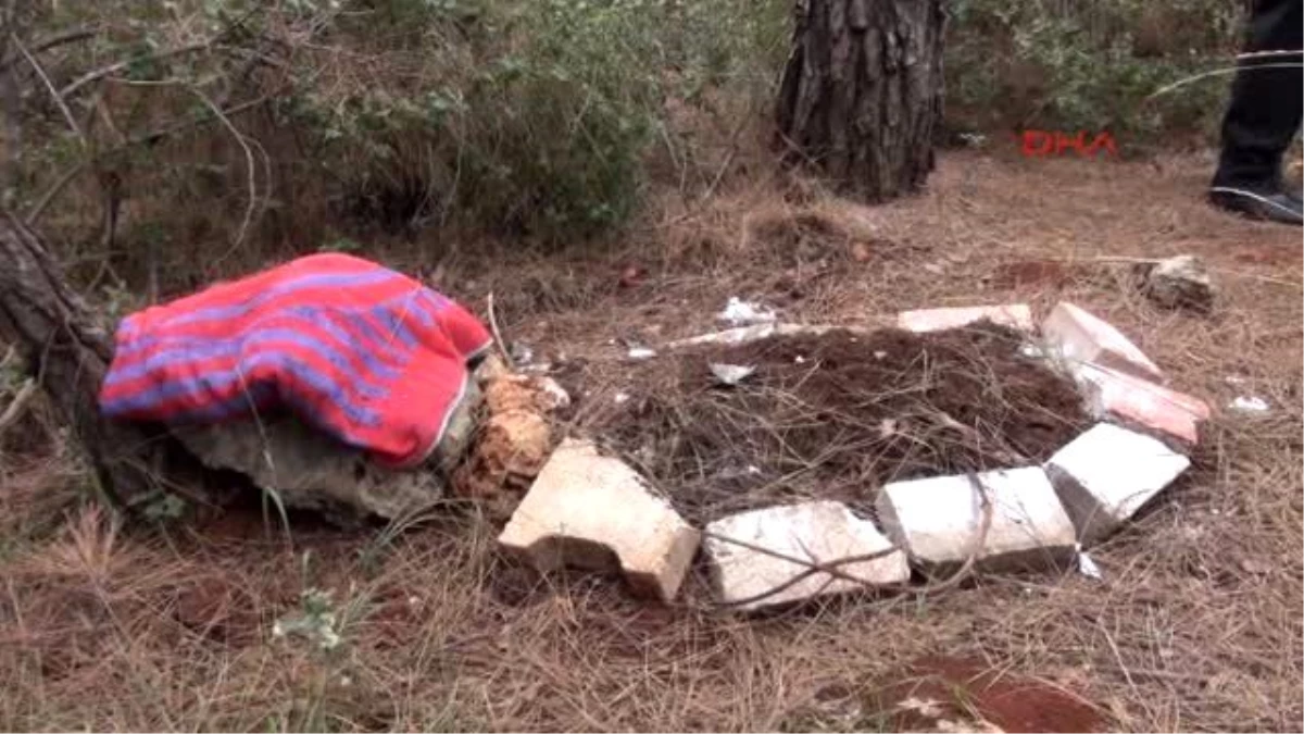 Panik Yaratan Mezardan Ölü Köpek Çıktı