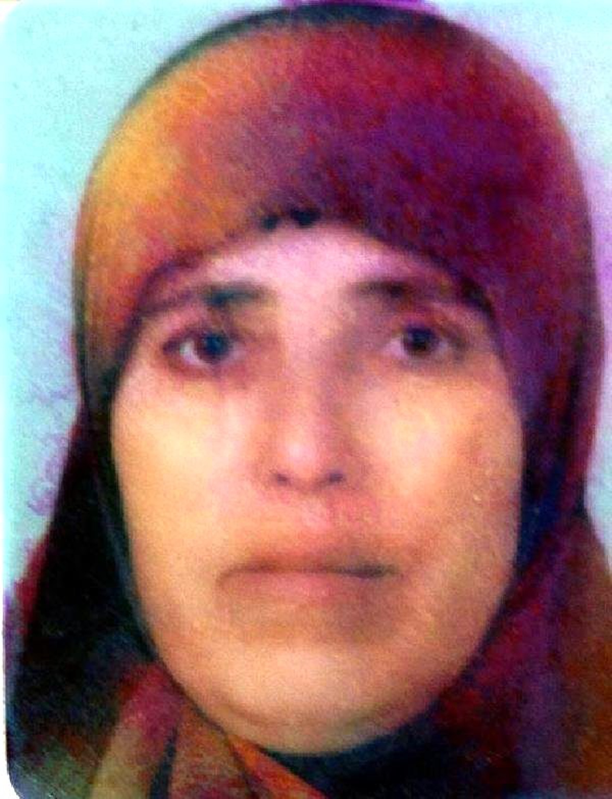 Cinnet Geçiren Kadın, Annesini ve 9 Aylık Kızını Bıçaklayarak Öldürdü