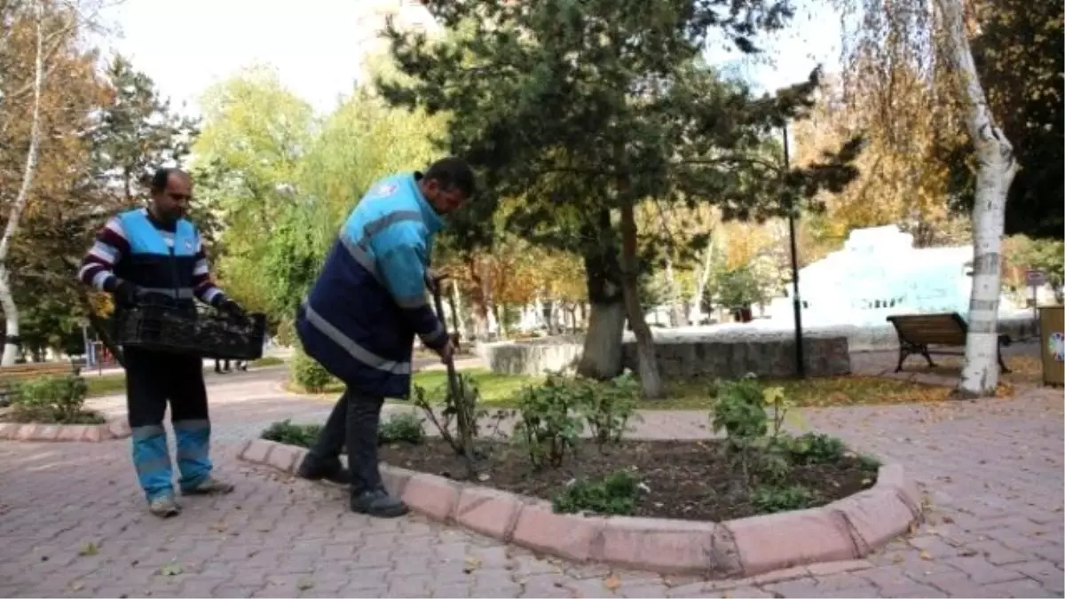 Çolakbayrakdar, "100 Bin Lale Diktik"