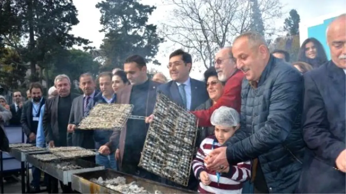 Hamsi Şenliğinde Renkli Görüntüler