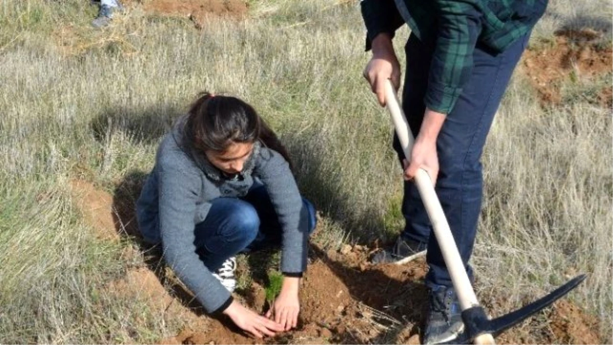 Öğretmenler Gününde Bin Fidan Toprakla Buluşturuldu