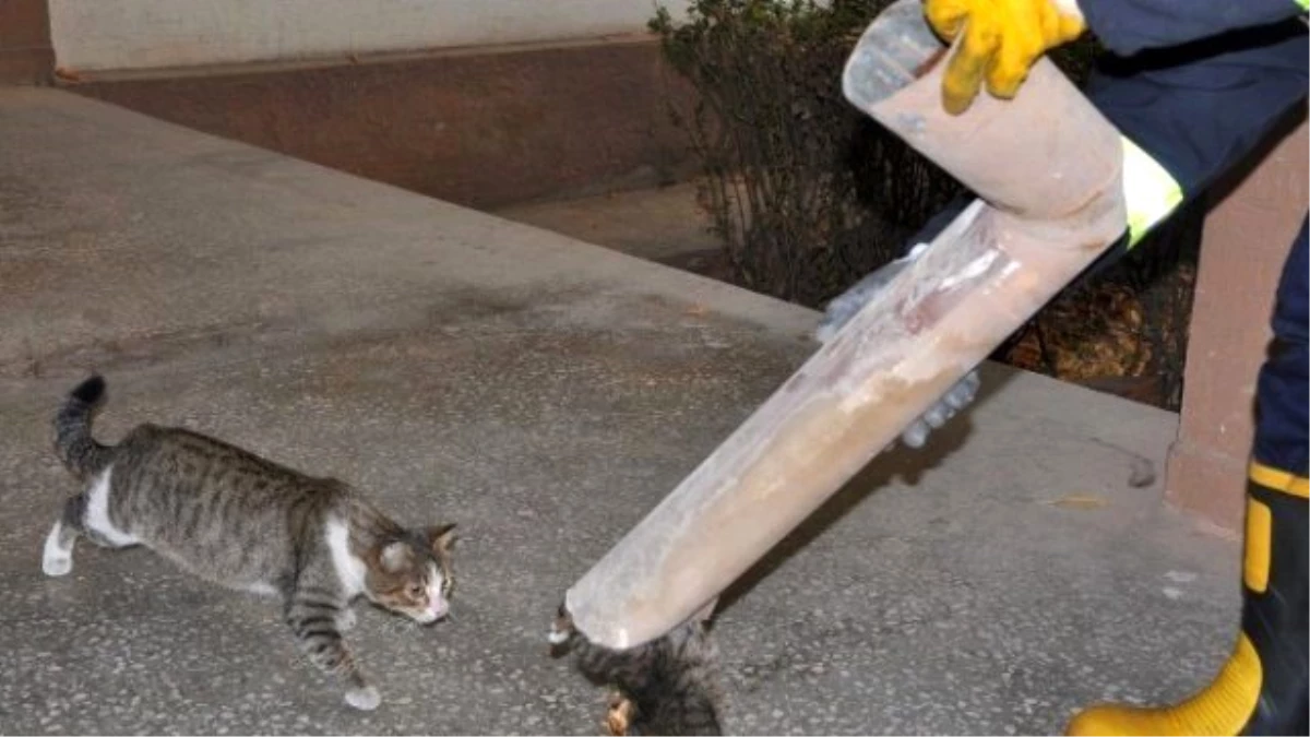 Yağmur Suyu Tahliye Borusuna Sıkışan Kediyi İtfaiye Ekipleri Kurtardı
