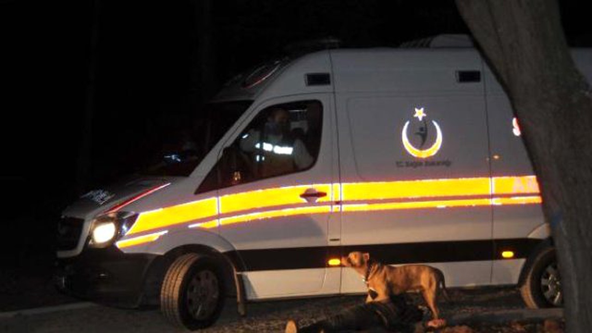 Pitbull Cinsi Köpek, Baygınlık Geçiren Sahibinin Yanına Kimseyi Yaklaştırmadı