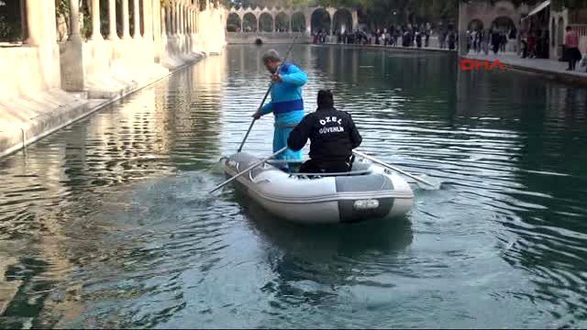 Şanlıurfa - Balıklıgöl?de Botla Temizlik