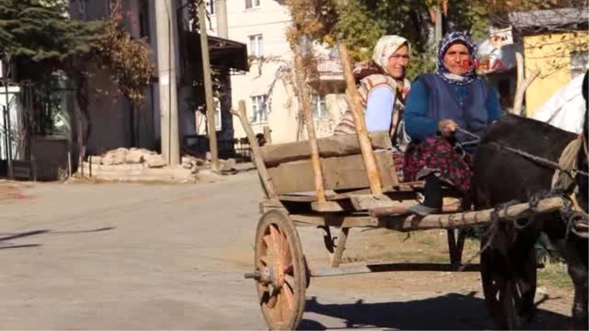 Bir Köy 20 Aydır Muhtarlık Seçimlerini Tartışıyor