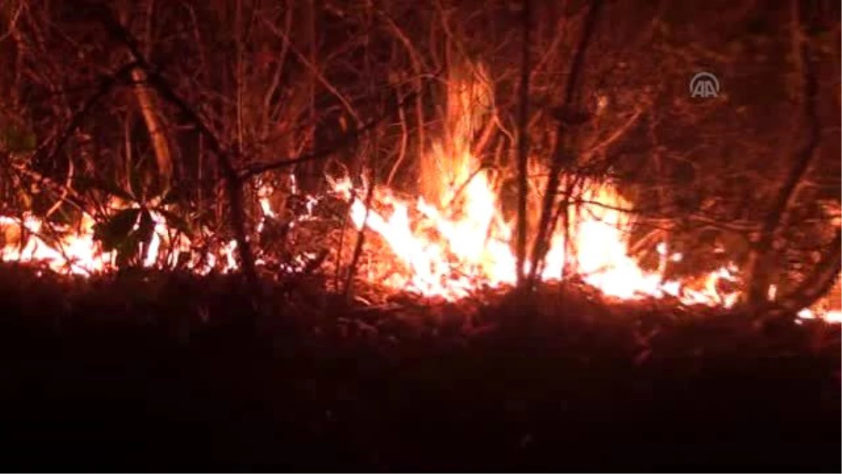 Arsin\'de Orman Yangını