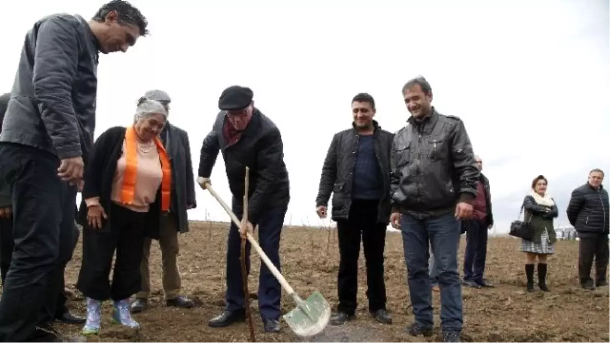 Kadınlar Özgürlüğe Güvercin Uçurdu