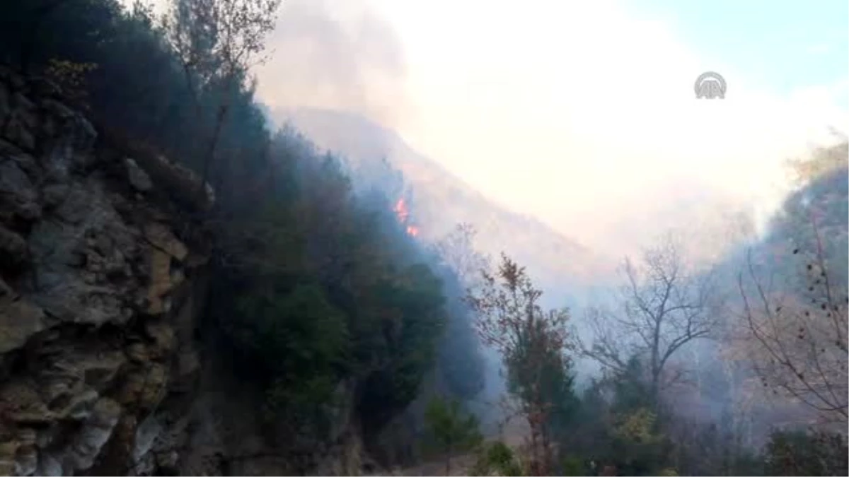 Osmaniye\'deki Orman Yangını Kontrol Altına Alındı