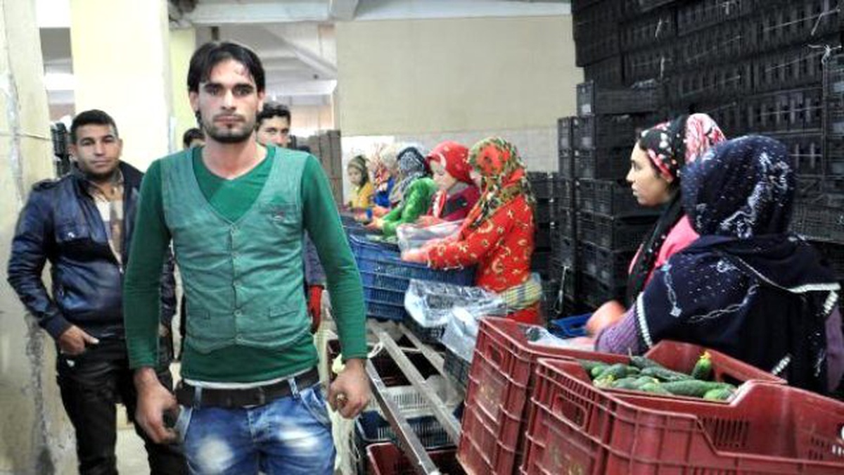 Rusya\'ya Giden Çiçek Tır\'ları Geri Dönüyor (3)