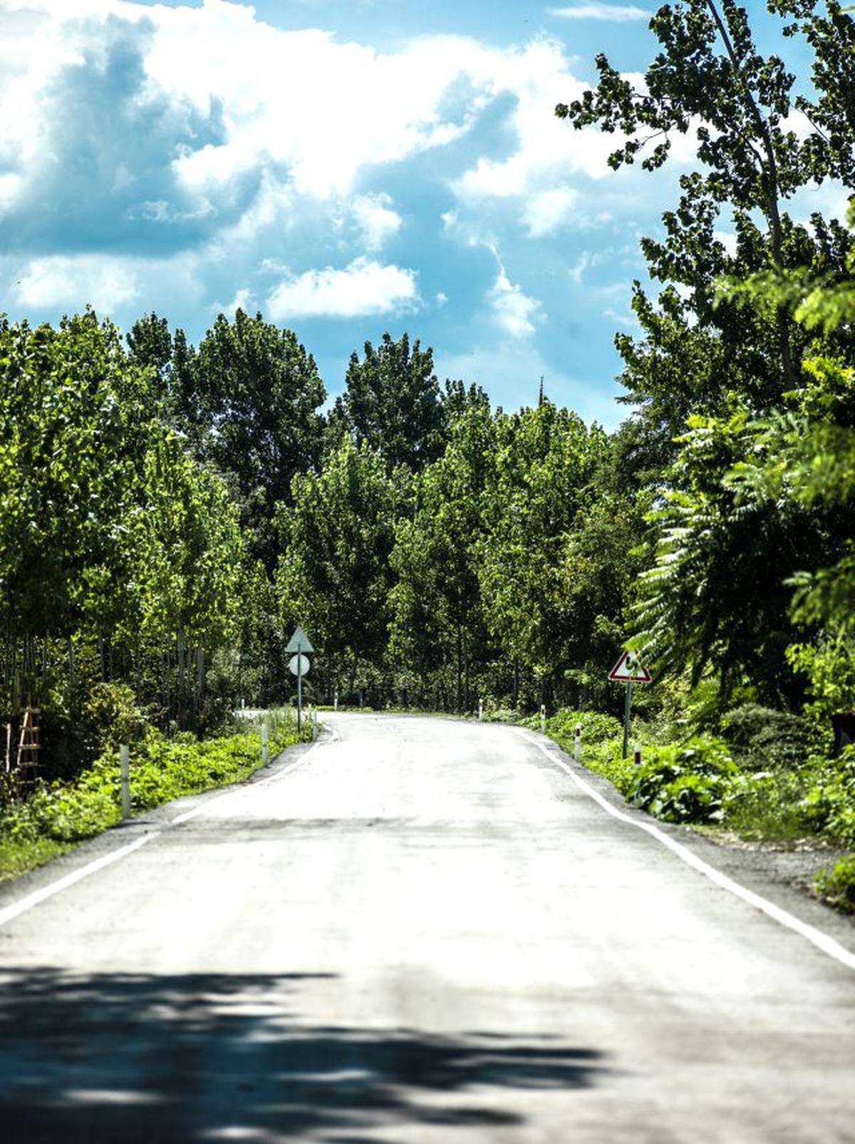 \'Silindirle Sıkıştırılmış Beton\' İle Yolların Ömrünü Uzatıyor
