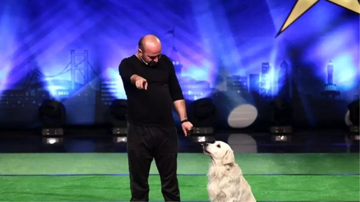 Spy Show Köpek Gösterisi