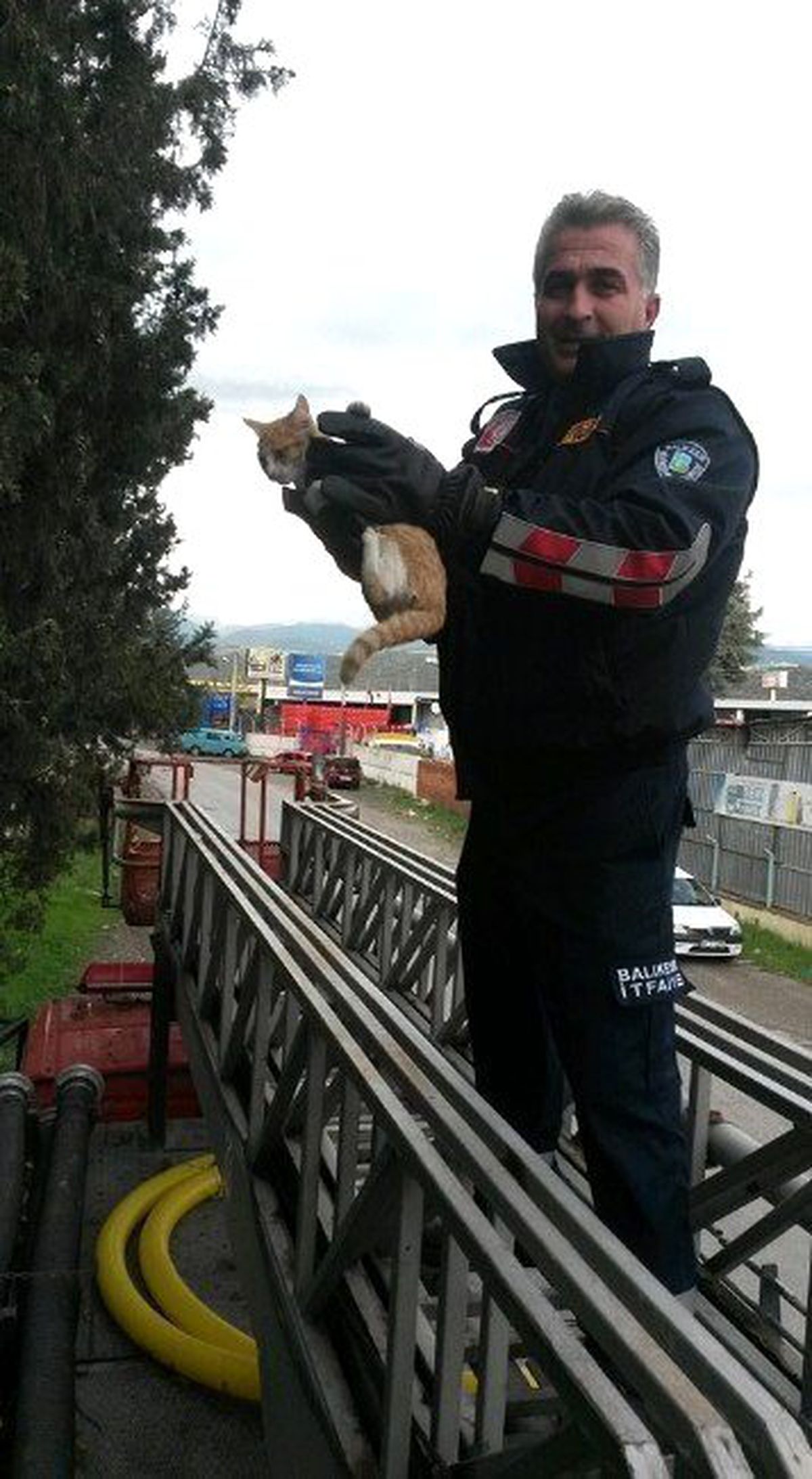 Ağaçta Mahsur Kalan Kedi İtfaiye Tarafından Kurtarıldı