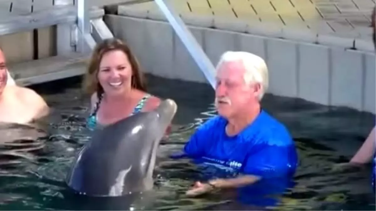 Karşılıklı Ağızdan Su Fışkırtma Oynayan Yunusun Sevimli Anları