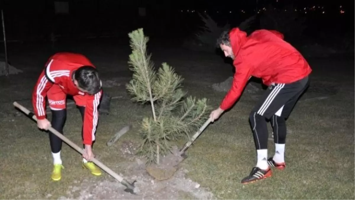 Medicana Sivasspor Organ Bağışı İçin Fidan Dikti