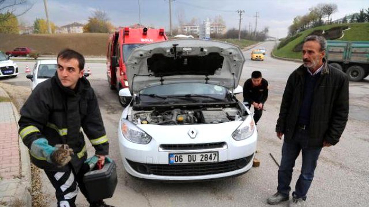 Otomobilin Motorunda Sıkışan Kediyi İtfaiye Kurtardı