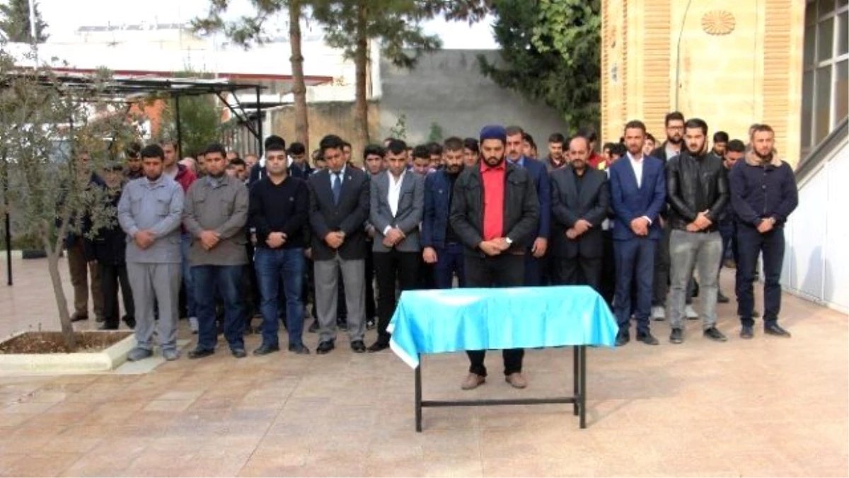 Ülkü Ocakları Bayır Bucak Türkmenleri İçin Gıyabi Cenaze Namazı Kıldı,