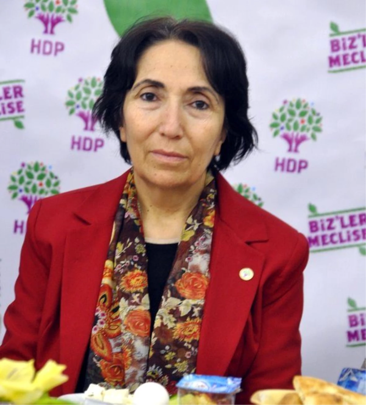 HDP\'li Becerekli, Kadın Cinayetlerini Hakkında Soru Önergesi Verdi