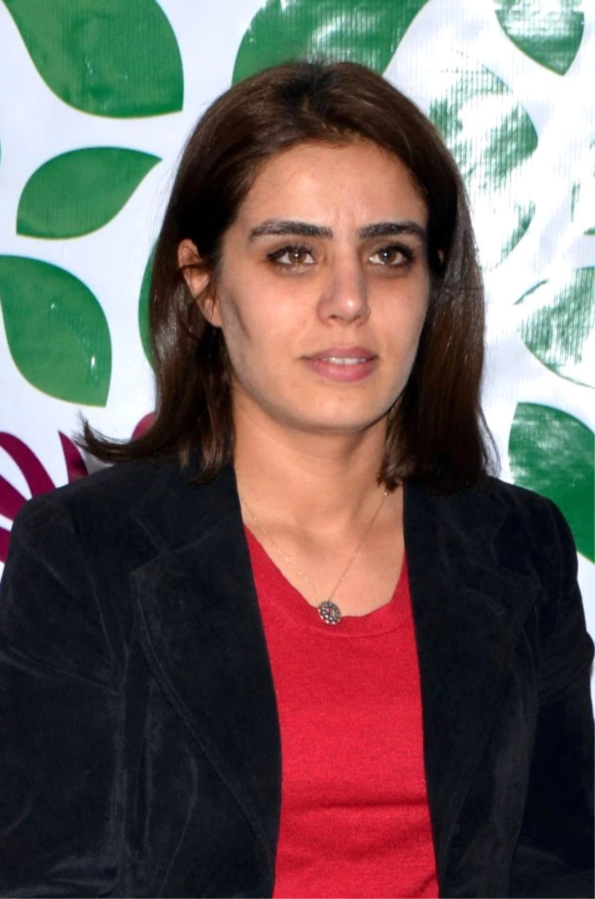HDP\'li Vekil Başaran: Kadınları Koruma Kanunları Uygulanmıyor