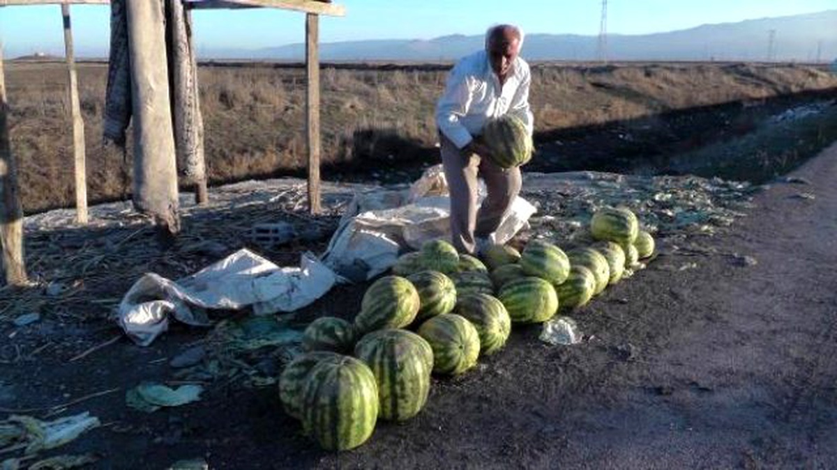 Kışlık Karpuzun Kilosu, Yazınkinin 4 Katı
