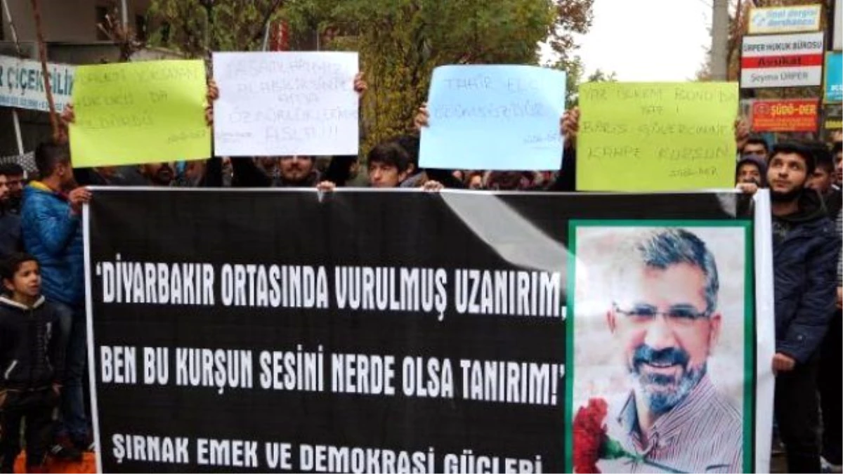 Tahir Elçi\'nin Öldürülmesi Şırnak ve Cizre\'de Protesto Edildi