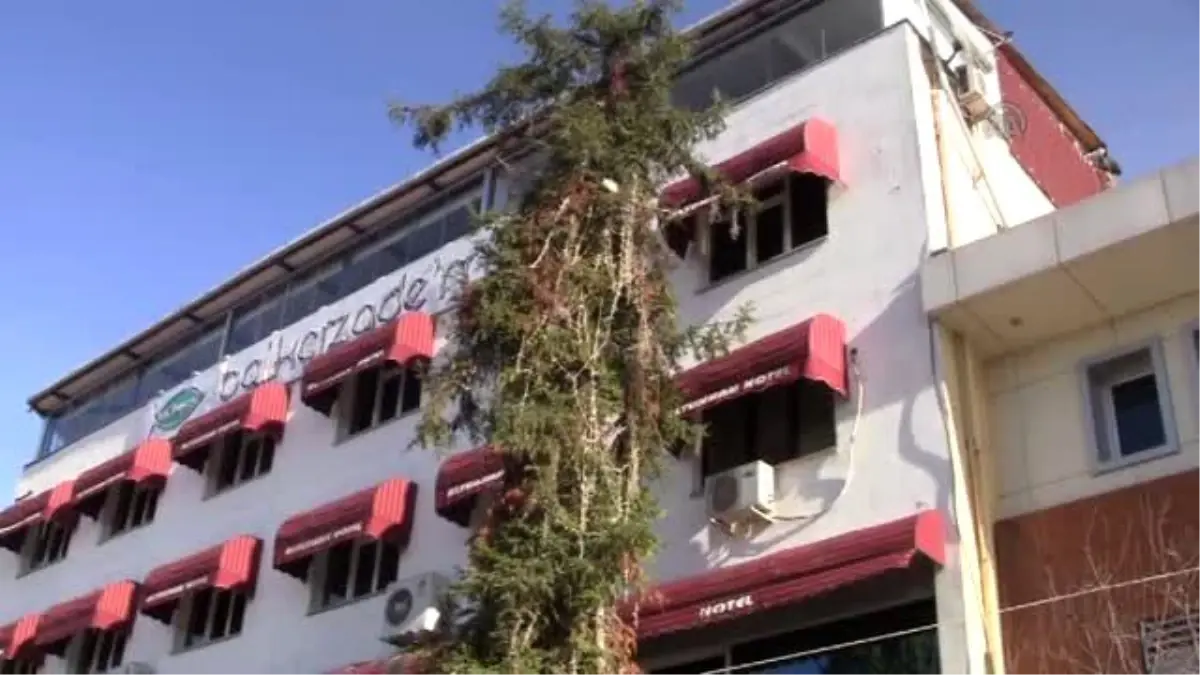 Ağaçta Mahsur Kalan Kedi Kurtarıldı