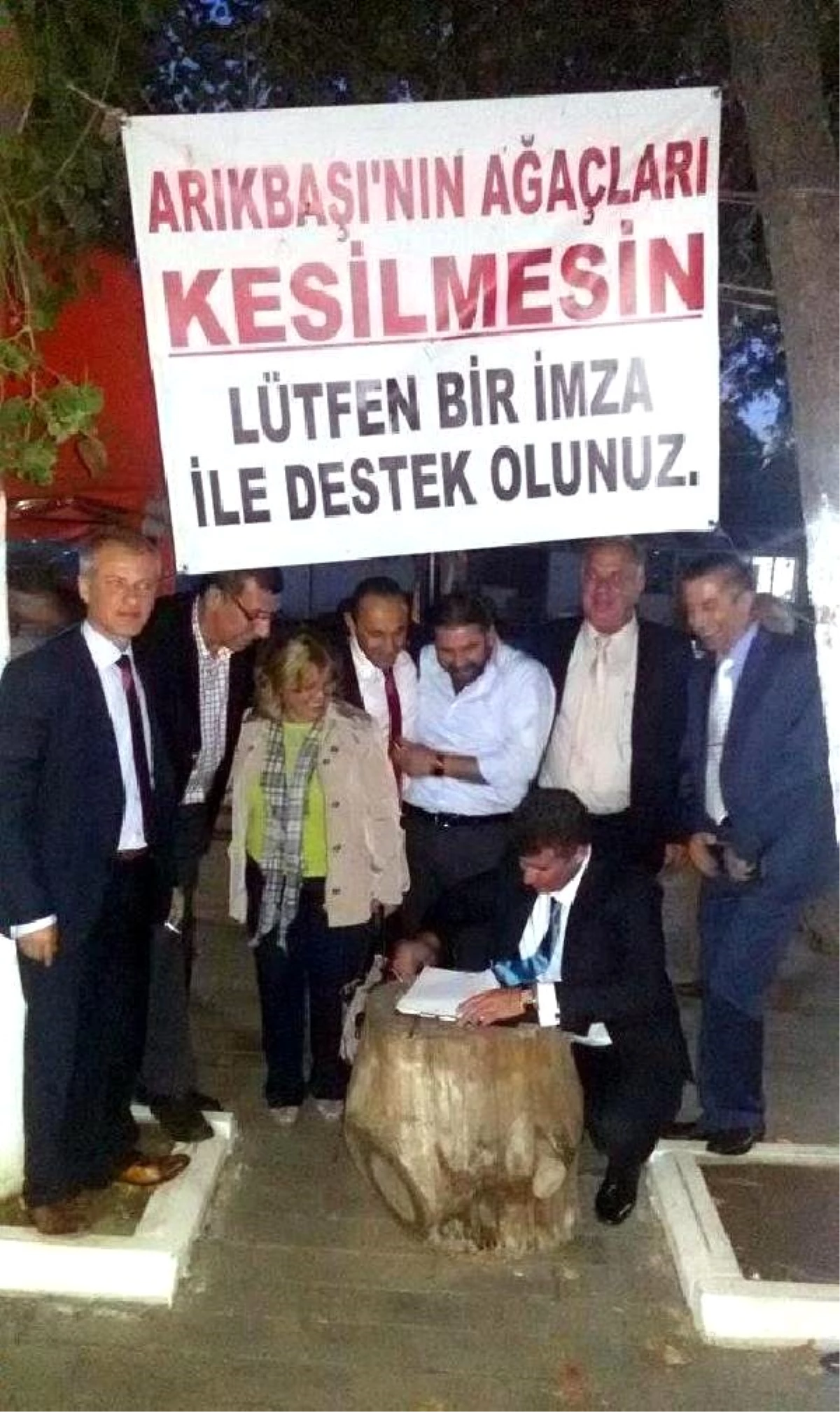 Asırlık Ağaçlar Yola Kurban Gitmesin