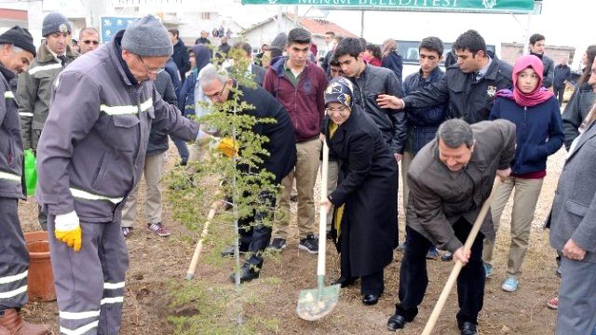 Meram\'da Şehit Aileleri Hatıra Ormanı Oluşturuldu