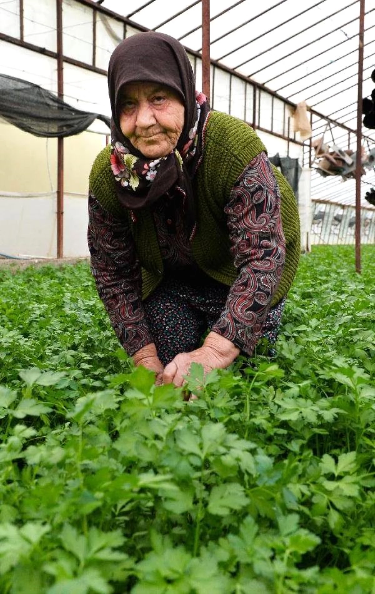 Seradan Çıkıp Spora Koşuyorlar