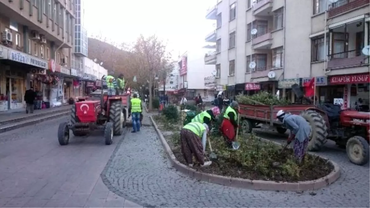 Akşehir Çiçeklerle Bezenecek